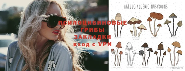не бодяженный Верхний Тагил