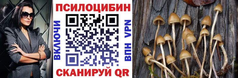 купить   Фёдоровский  Галлюциногенные грибы Cubensis 